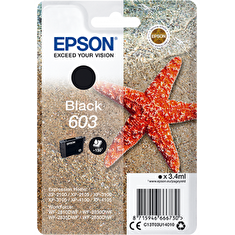 Epson singlepack, Black 603