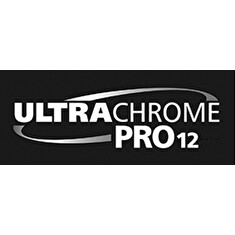 Singlepack Green T44QB40 UltraChrome PRO 12 350ml