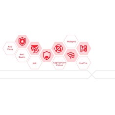 LIC-BUN, 1 Month for co-termination, Content Filtering/Anti-Spam/Anti-Virus Bitdefender Signature/IDP/SecuReporter Premi