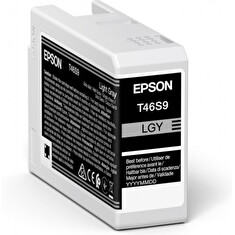 Epson Singlepack Light Gray T46S9 Ultrachrome