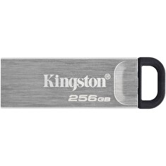 Kingston DataTraveler Kyson/256GB/USB 3.2/USB-A/Stříbrná