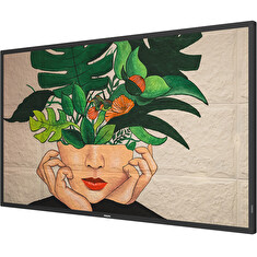 43" D-LED Philips 43BDL4511D-UHD,IPS,500cd,MP,24/7