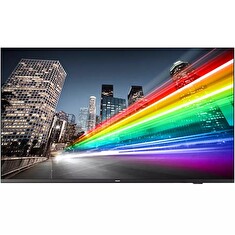 55" D-LED Philips 55BFL2214-UHD,IPS,350cd,TV,16/7