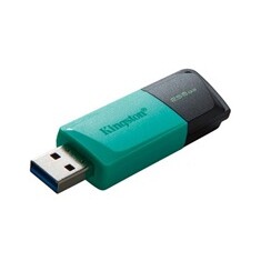 256GB Kingston USB 3.2 (gen 1) DT Exodia M