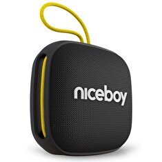 Niceboy RAZE Mini 4