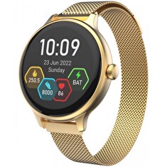 CARNEO Hero mini HR+/Gold/Elegant Band/Gold