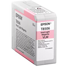 Epson Singlepack Photo L Magenta cartridge T85060N
