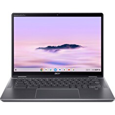 Acer Chromebook Plus Spin 514/CP514-4HN-36VY/3-100U/14"/WUXGA/T/8GB/256GB SSD/UHD/Chrome/Gray/2R