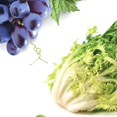 Hnojivo Agro Kristalon Start 0.5 kg