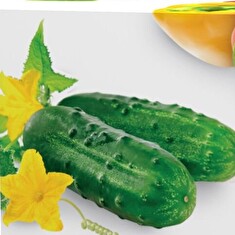 Hnojivo Agro Kristalon Plod a květ 0.5 kg