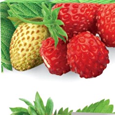 Hnojivo Agro Kristalon Jahoda 0.5 kg