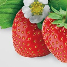 Hnojivo Agro Kristalon Podzim 0.5 kg