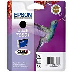 R265/360,RX560 Black Ink cartridge (T0801)