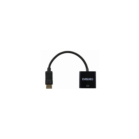 EVOLVEO DisplayPort - DVI adaptér