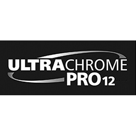 Singlepack Violet T44QD40 UltraChrome PRO 12 350ml