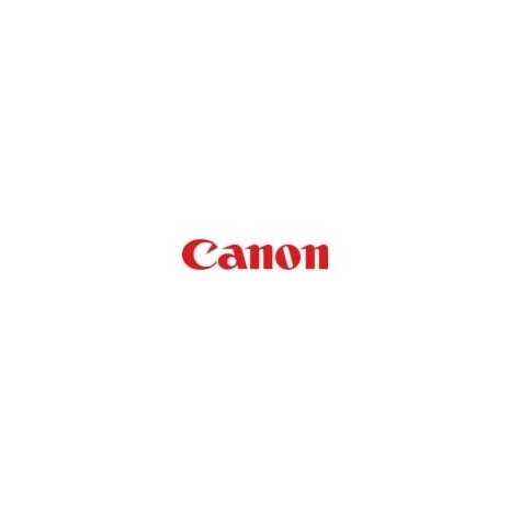 Canon cartridge PFI-320 Cyan (PFI320C)/Cyan/300ml