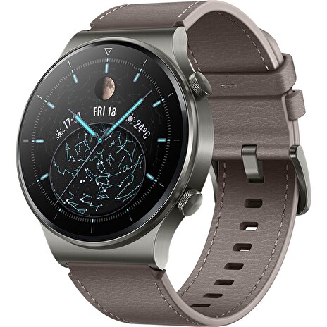 Huawei Watch GT 2 Pro/Silver/Elegant Band/Gray