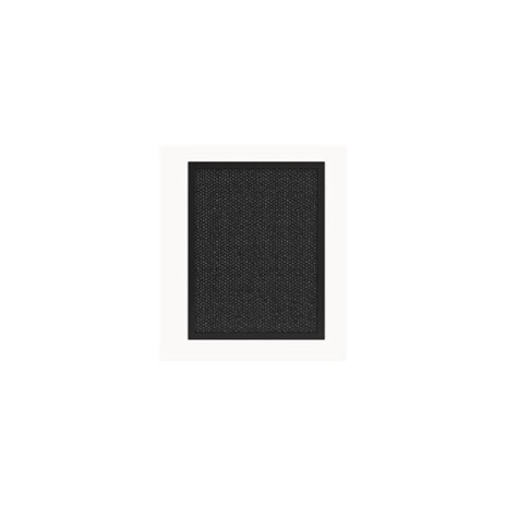 Tesla Smart Air Purifier Pro L Carbon Filter