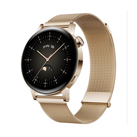 Huawei Watch GT 3/Gold/Elegant Band/Gold