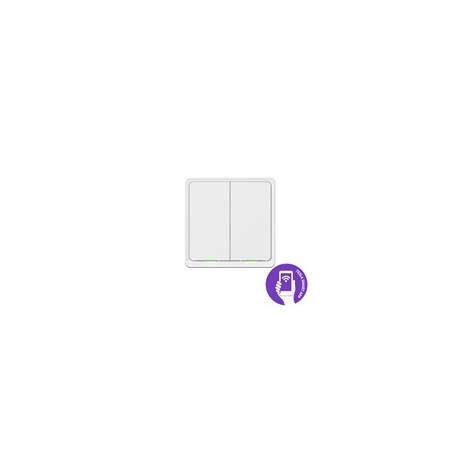 Tesla Smart Switch Dual