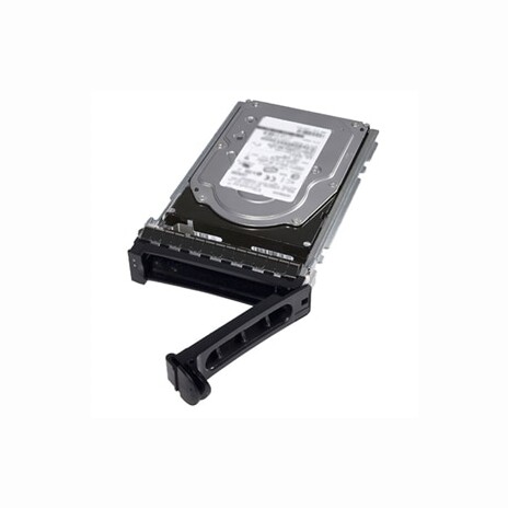 Dell/960 GB/SSD/2.5"/SATA/1R