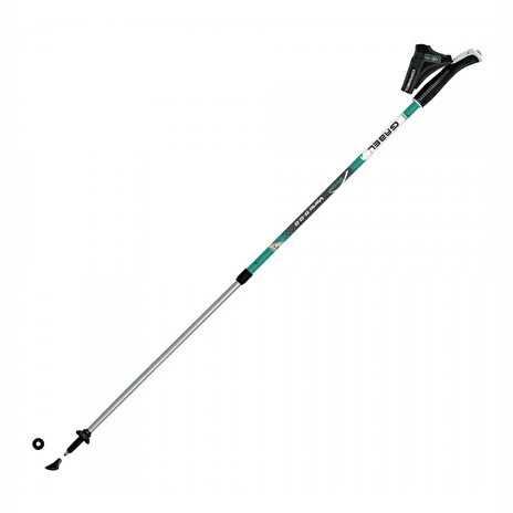 Hole Gabel Vario S-9.6 Teal na nordic walking