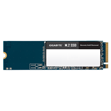 GIGABYTE SSD GM2500G 500GB M.2