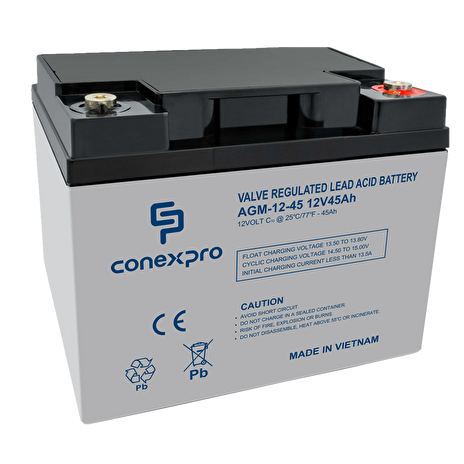 Baterie Conexpro AGM-12-45 VRLA AGM 12V/45Ah, T14