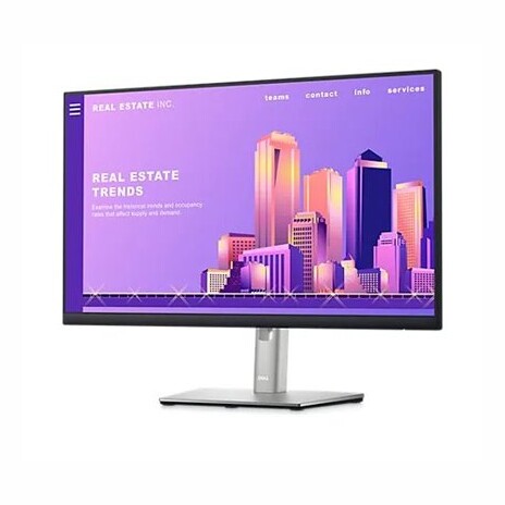 Dell 24 Monitor - P2422H - 60.5cm (23.8)