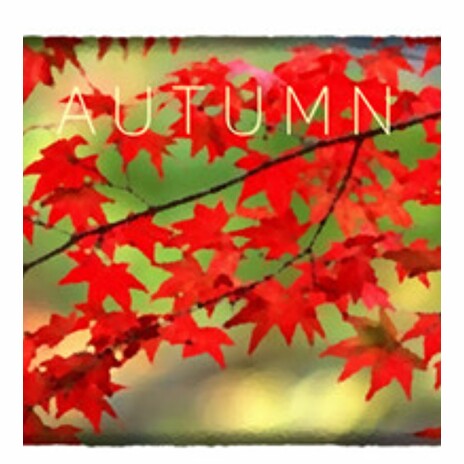 ESD Autumn