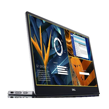 DELL P1424H 14" LED/1920x1080 FHD/700:1/6ms/DP/USB-C/přenosný/stříbrný