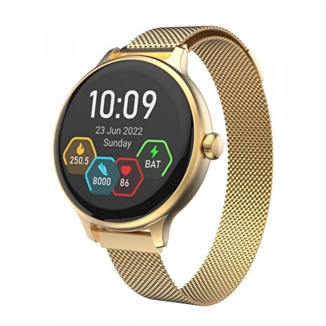 CARNEO Hero mini HR+/Gold/Elegant Band/Gold