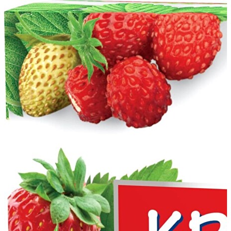 Hnojivo Agro Kristalon Jahoda 0.5 kg