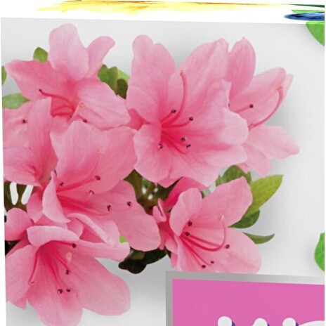 Hnojivo Agro Kristalon Rododendron a borůvka 0.5 kg