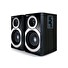 C-TECH SPK-310B/Stereo/20W/Černá