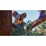 ESD Planet Zoo Australia Pack