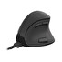 Natec EUPHONIE/Kancelářská/Optická/Pro praváky/2 400 DPI/Bezdrátová USB/Černá