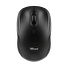TRUST TM-200 Wireless optical mouse black