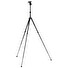 Stativ tripod Velbon Ultrek UT-43DII