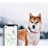 Tractive GPS DOG 4 – GPS sledování polohy a aktivity pro psy