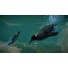 ESD Planet Zoo Aquatic Pack