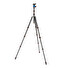 Stativ tripod 3 Legged Thing Punks Brian & AirHed Neo