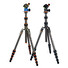 Stativ tripod 3 Legged Thing Punks Brian & AirHed Neo
