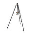 Stativ tripod 3 Legged Thing Punks Travis & AirHed Neo, černý