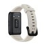 Honor Band 6/Black/Sport Band/Gray