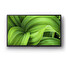 SONY BRAVIA KD32W800 - Full HD HDR Android TV