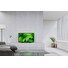 SONY BRAVIA KD32W800 - Full HD HDR Android TV
