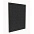 Tesla Smart Air Purifier Pro L Carbon Filter