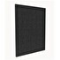 Tesla Smart Air Purifier Pro M Carbon Filter