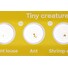 Příslušenství Discovery Fauna 12 Prepared Slides Set - sada hotových preparátů